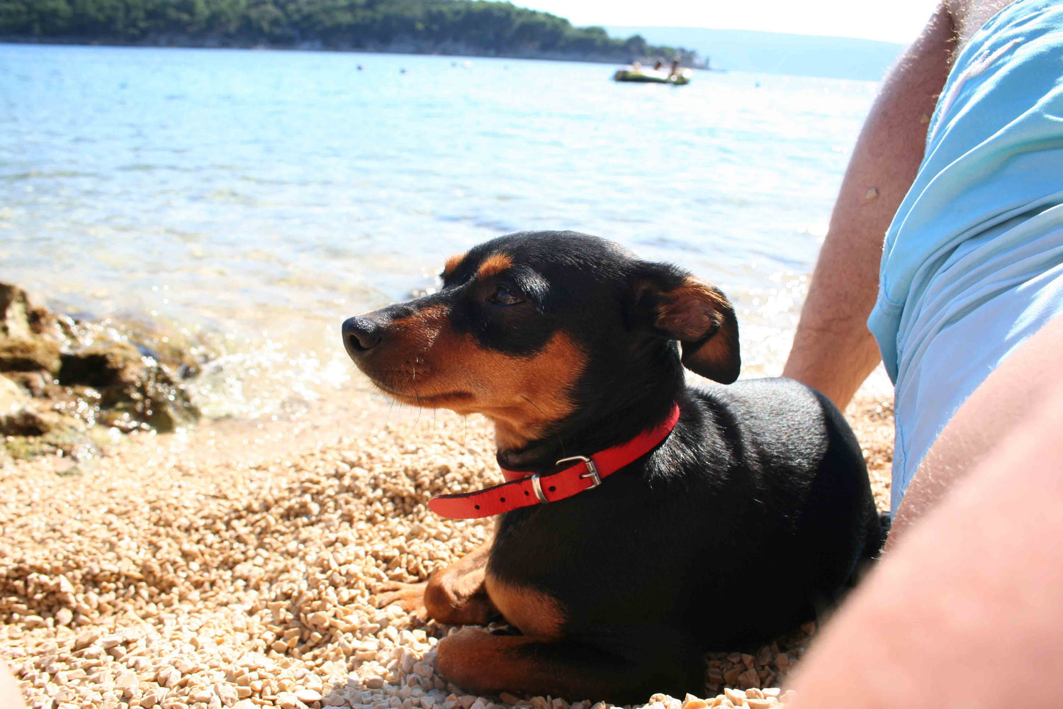 Badetaschen & Auflagen für Strand und Boot